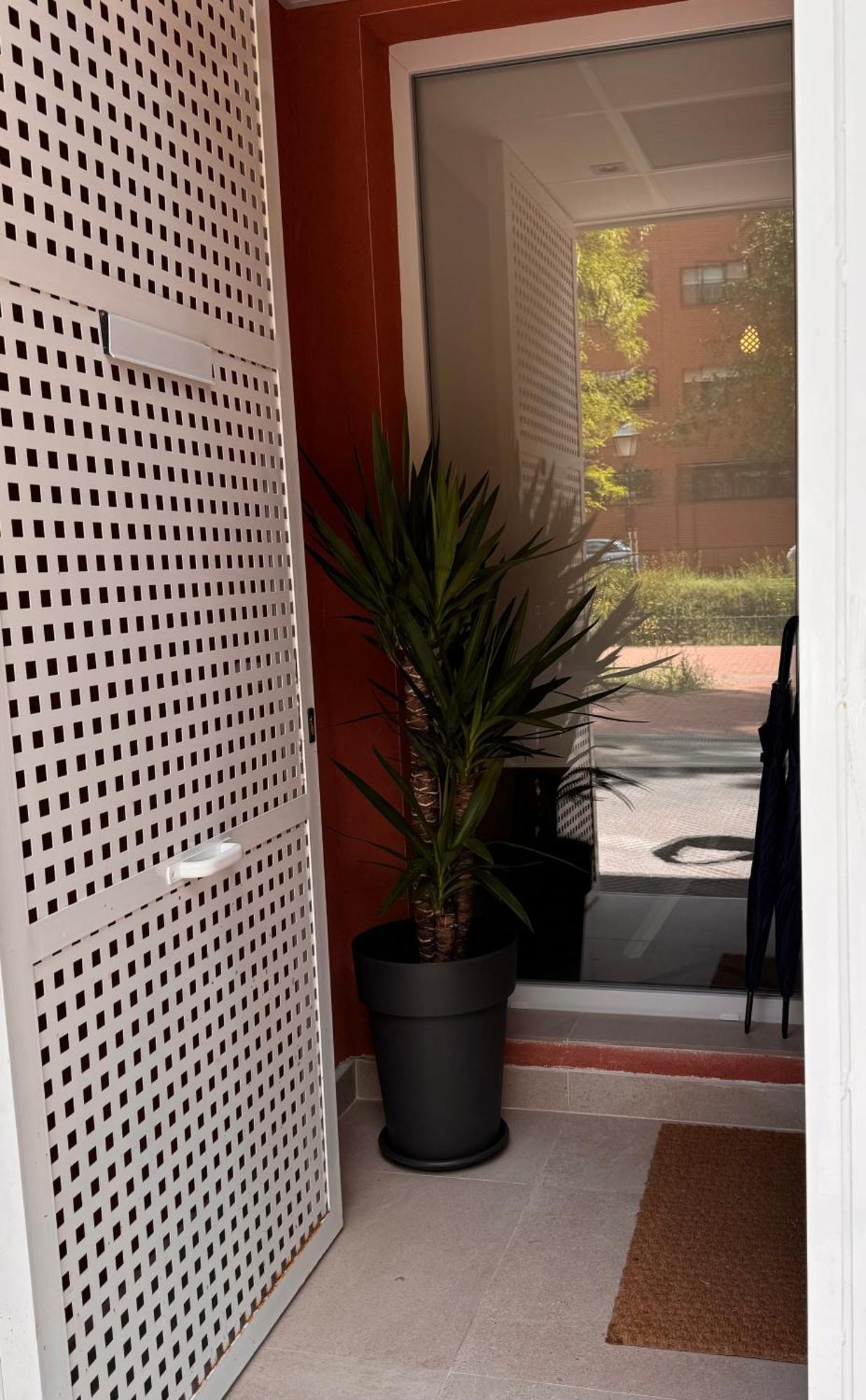Appartement Laan Pinos *
